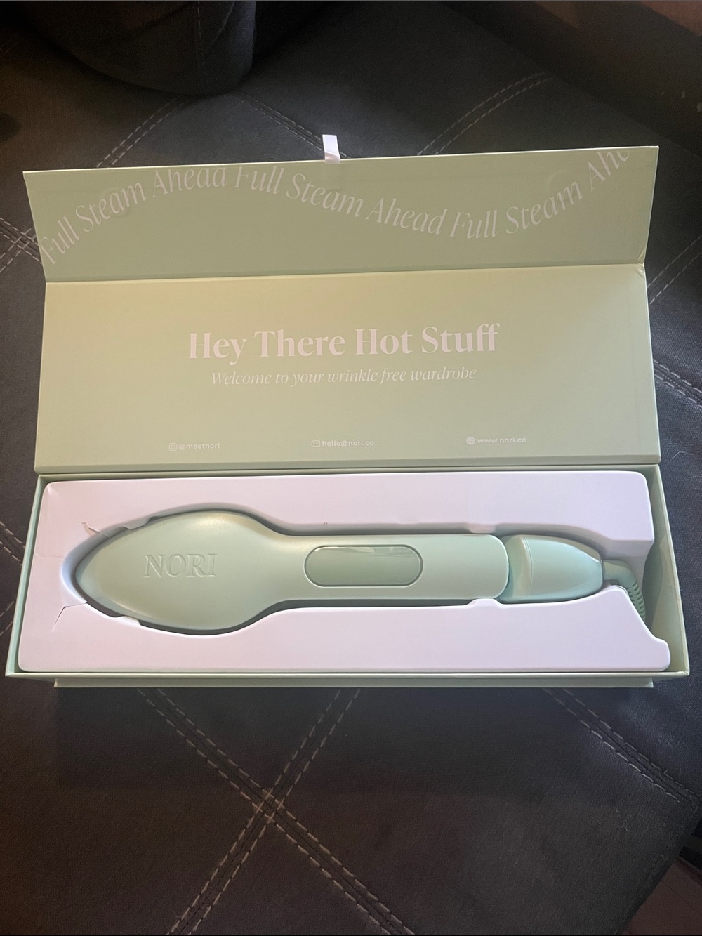 The NORI Press Handheld Garment Steamer - Sage Green
